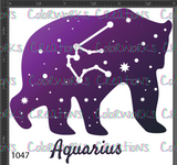 1047 - Aquarius Bear