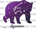 1047 - Aquarius Bear