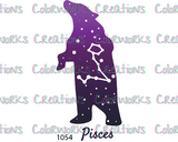 1054 - Pisces Bear