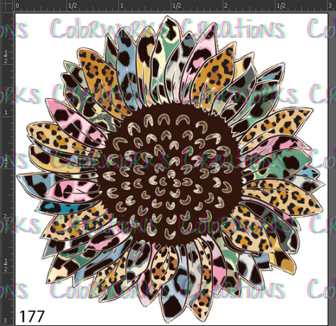 177 - Leopard Sunflower