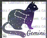 362 - Gemini Cat