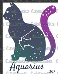 367 - Aquarius Cat