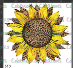 510 - Leopard Sunflower