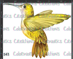541 - Hummingbird