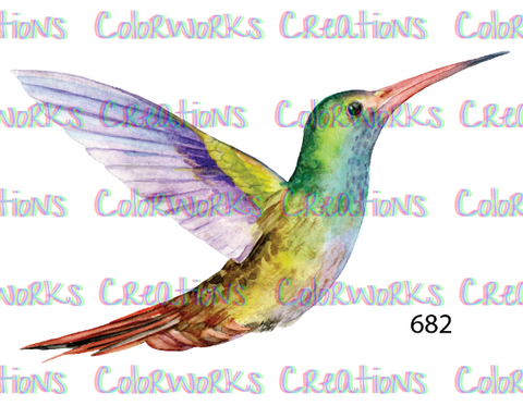 682 - Hummingbird